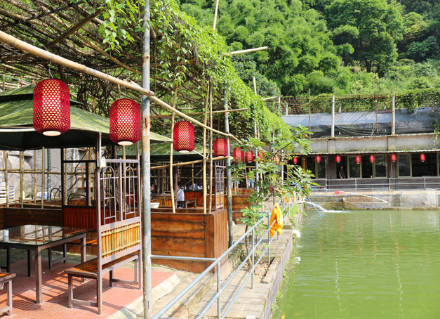 廣州菜豐園使用了美爾家藤藝燈飾效果圖